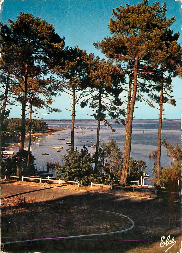 Bassin d'Arcachon — Ausblick über den Bassin — Verlag Elcée, Nr. 237 - Vorderseite