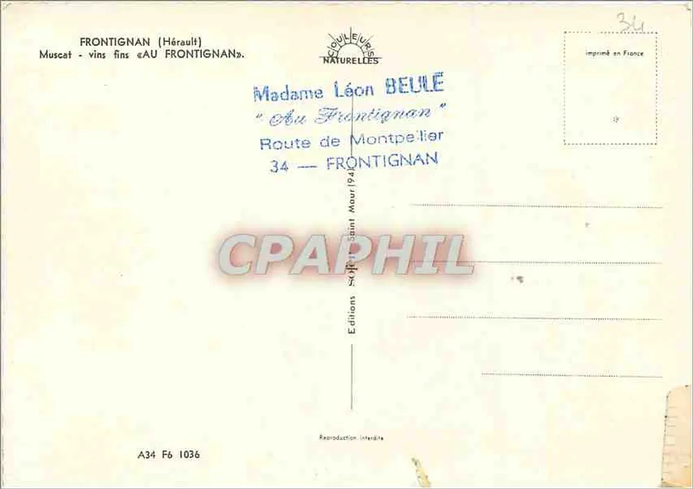Vista aérea de viñedos en Frontignan — Hérault — Ediciones Frontignan - Reverso
