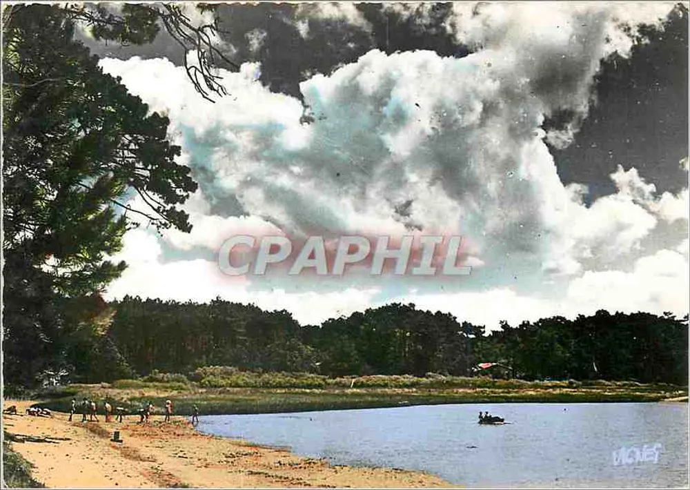 Gesicht der Landes — Unter dem schönen Himmel der Landes — Éditions d'Art VIGNES CASTETS - Vorderseite