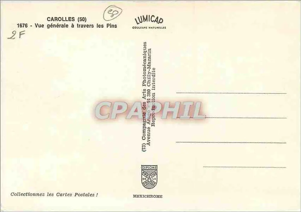 Carolles (50) — Vista general a través de los Pinos — IRIS - Reverso