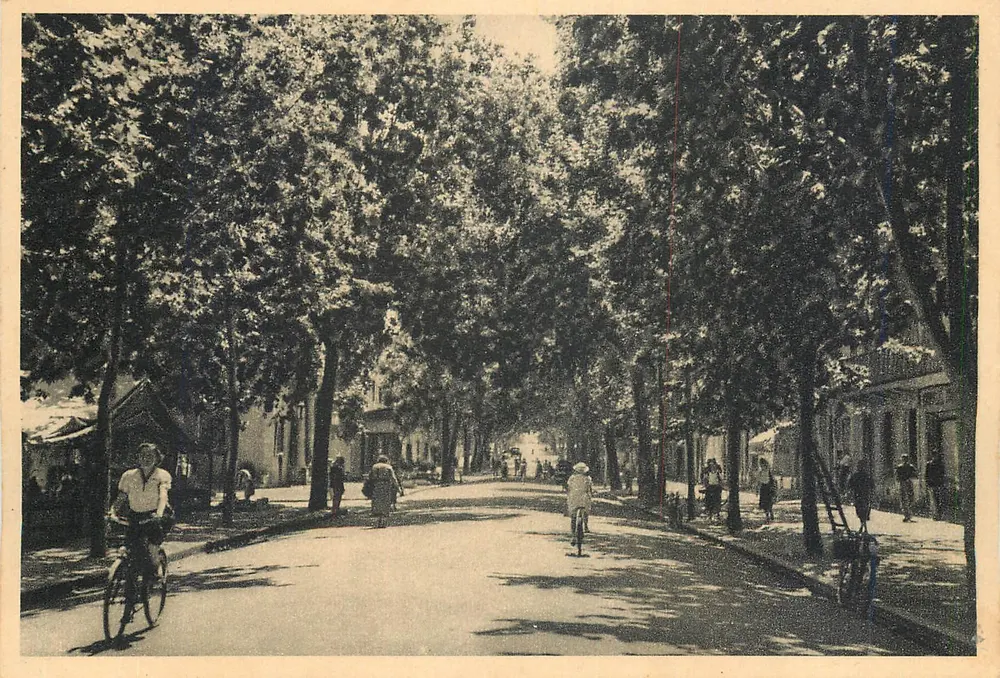 Draguignan — Boulevard Georges Clemenceau — L'Esplanade — Edição De Leyronnais - Frente