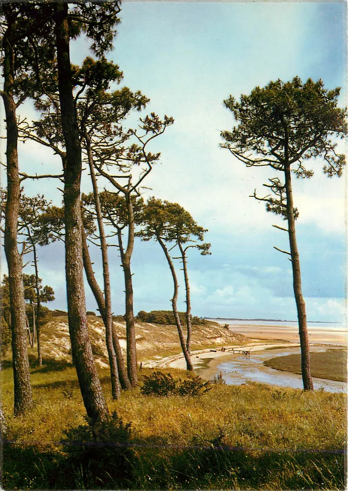 Küste des Lichts — Bucht von Belle Henriette (Vendée) — Artaud Frères Edition - Vorderseite