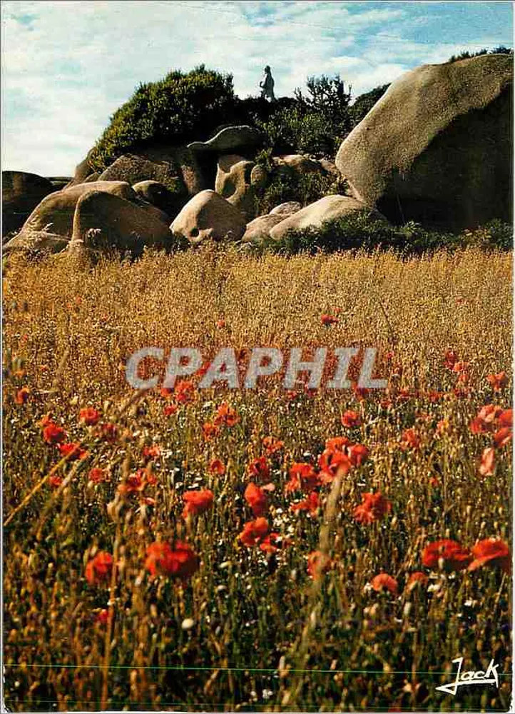 Campo de papoulas — rochedos de Trégastel — Edições de Arte TREGASTEL - Frente