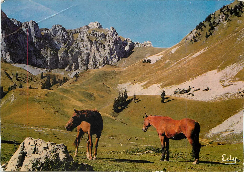 Cavalos no pasto — Editor Edy, n° 127-S - Frente