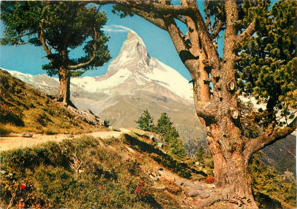 Matterhorn — Zermatt, Suíça — editor Franz Schneider, n° 901 - Frente