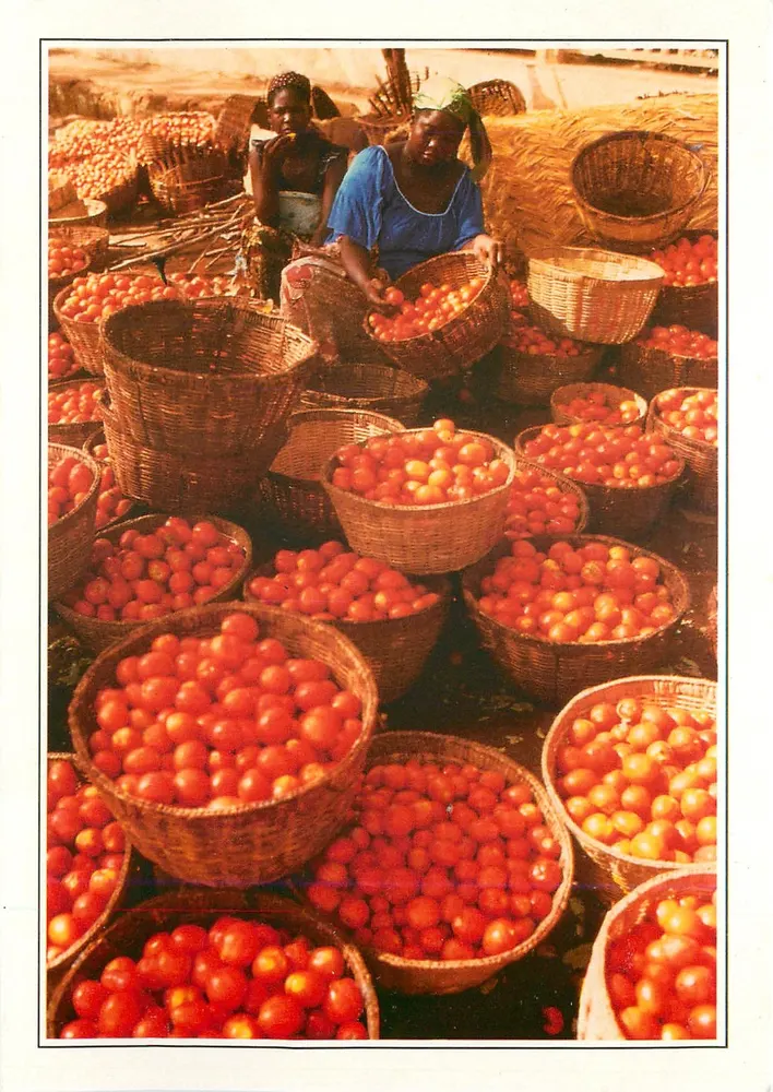 Bobo-Dioulasso — mercado de tomates — Graphil - Frente