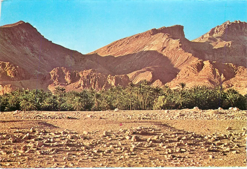 दक्षिण के पैनोरमा — तुनीशिया — कहिया संस्करण संख्या 323 - आगे