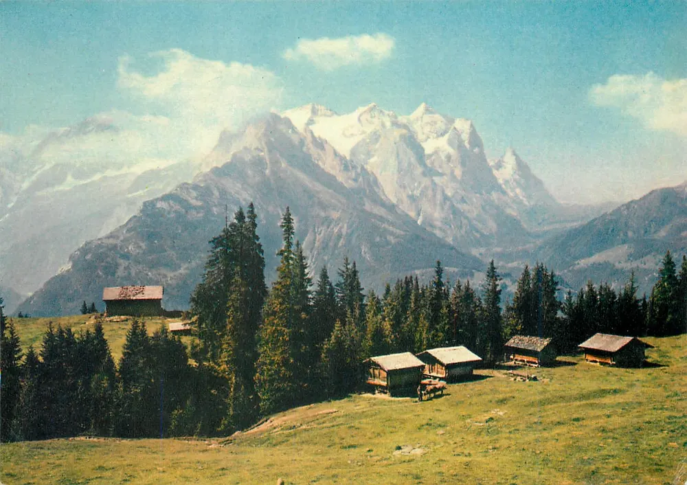Wetterhorn und Eiger vom Brünig aus — Swiss Alp — editor Franz Schneider, Lucerna, Suíça — n° 994 - Frente