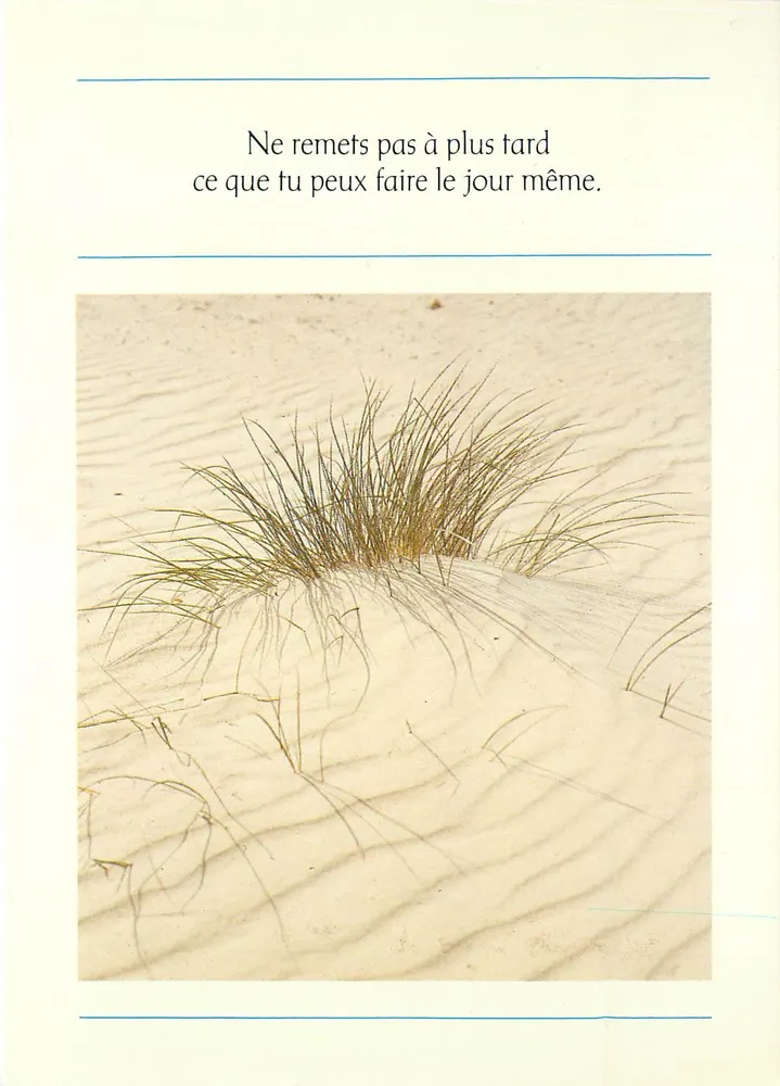Sandstrand — Gras in den Dünen — Foto Théa van Dornburg-Mans - Vorderseite