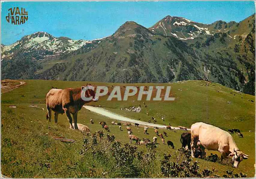 Vall d'Aran — Pla de Beret — Editor C. Bon — n° 114 - Frente