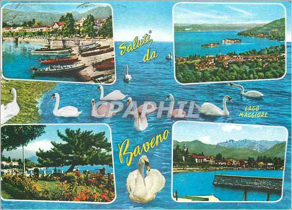 Baveno — Lago Maggiore — editor Peggiori, N. 446 - Frente