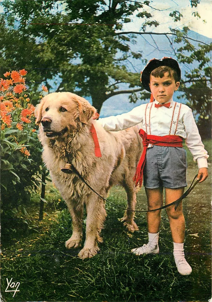 Child and Dog — Pyrenean folklore scene — Éditions P. CHAMBON, n° 1606 - Front