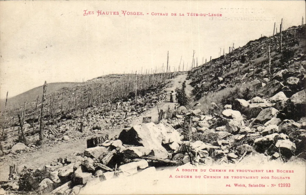 Les Hautes Vosges - Coteau de la Tête-du-Linge — Éditeur Weick, Saint-Dié, n° 12893 - Recto