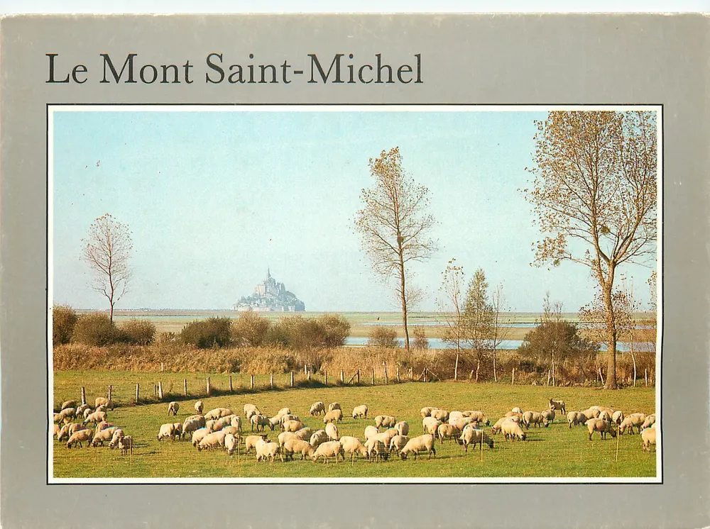 O Monte Santo Michel — vista com rebanho de ovelhas — Edições d'Art JACK - Frente