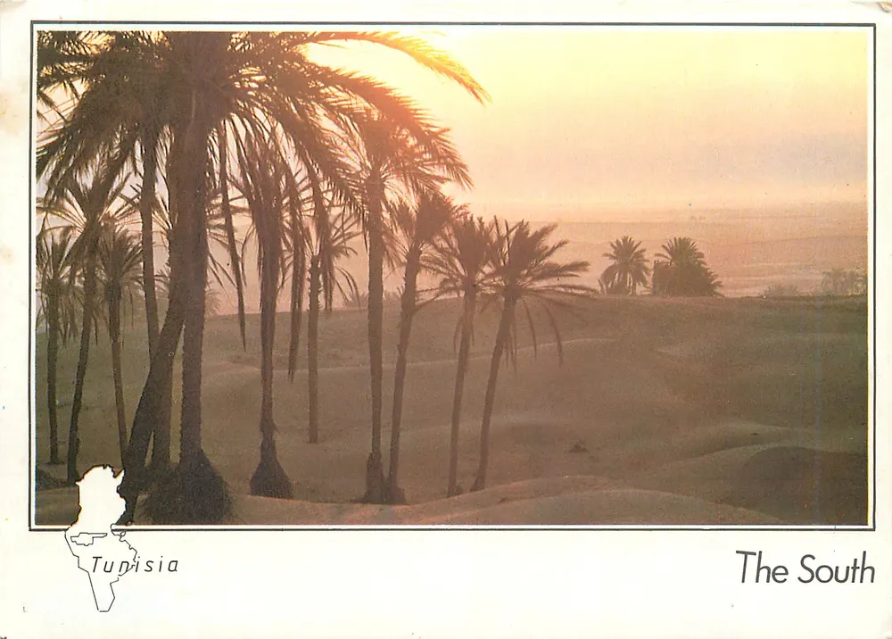 Paysage désertique avec palmiers — Le Sud — éditeur Tupisia, n° de série non visible - Recto