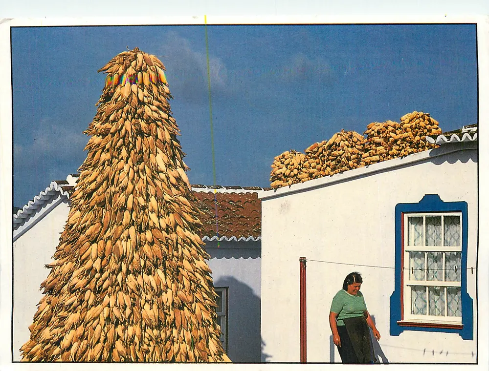 Terceira — traditionnelle maison de blé — Acores, Portugal - Recto