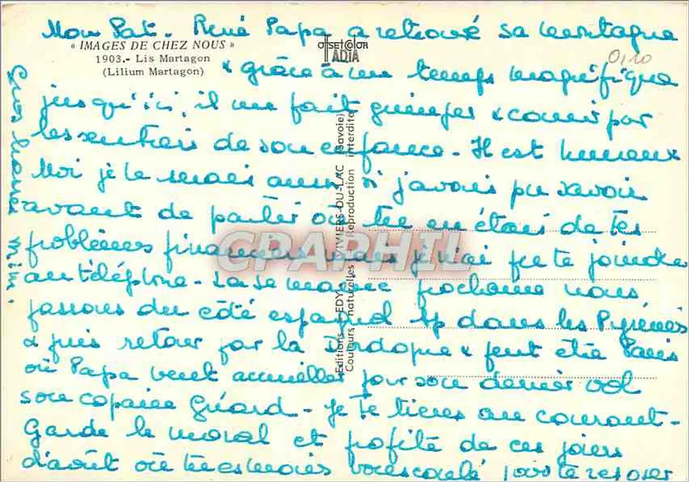 Lilium Martagon — Éditeur Edy — n° 0140 - Verso