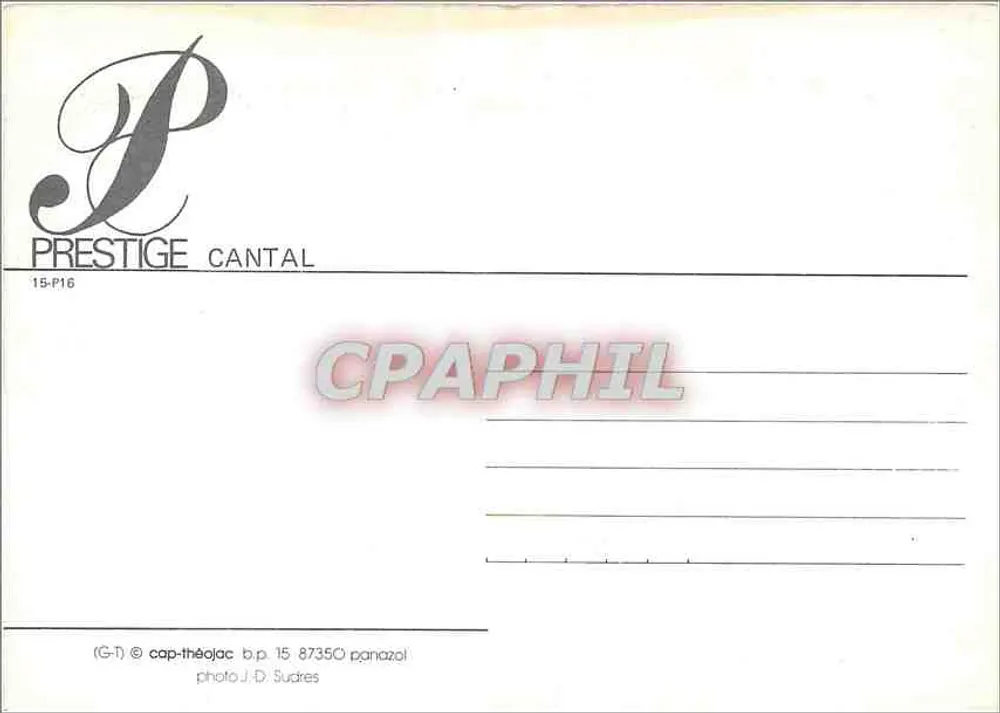 Flores amarelas sob luz plena — Série Prestige Cantal 15-P16 - Verso