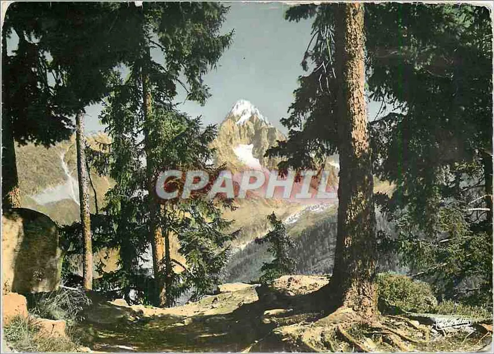 Ansicht der Alpen — Waldweg — Photodit, Grenoble - Vorderseite