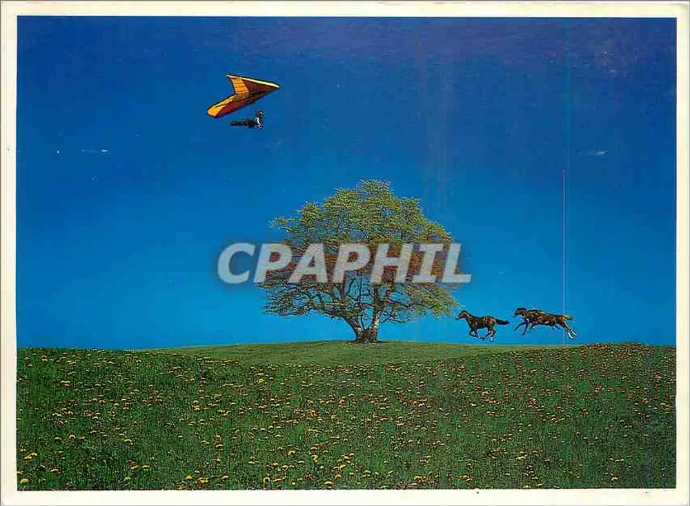 Campo de flores com parapente e cavalos — Edições Reverie - Traümerei, n° 17 00 9062 - Frente