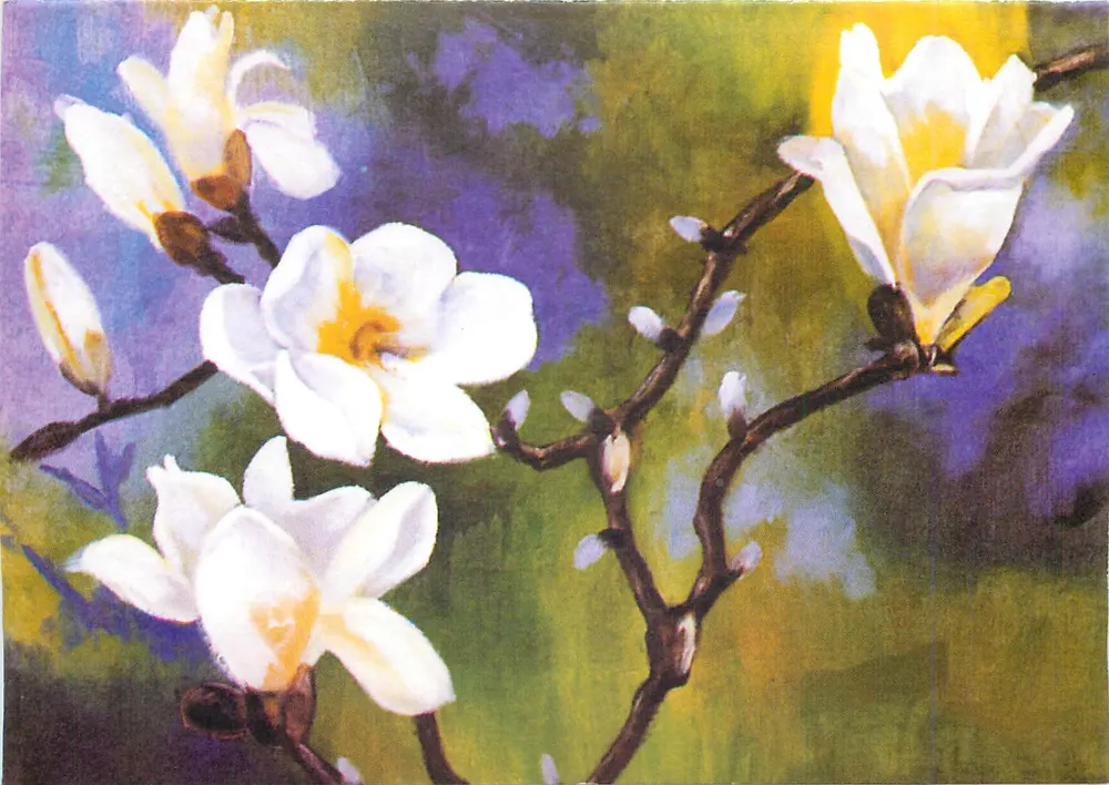 Flores de magnólia — pintura - Frente