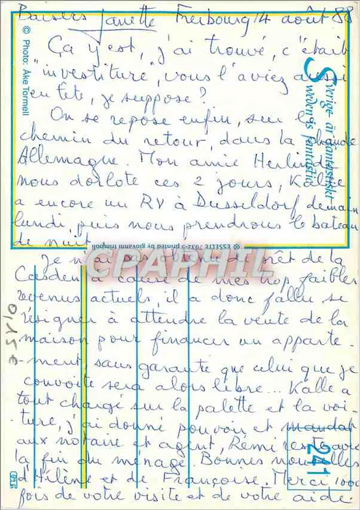 Flores selvagens — violetas e margaridas — Foto Alte Tornell - Verso