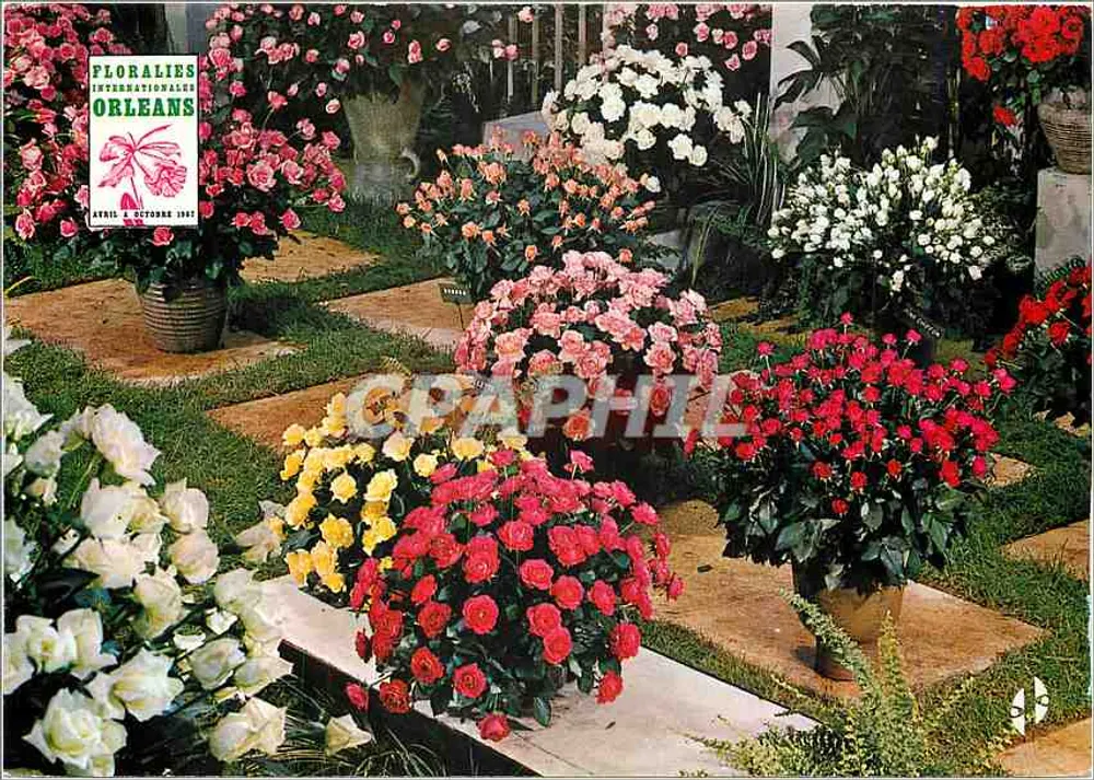 ओर्लेयन में अंतरराष्ट्रीय फ्लोरलिये - अप्रैल से अक्टूबर 1967 - विशेष संस्करण 'लेस सेर्स' - आगे
