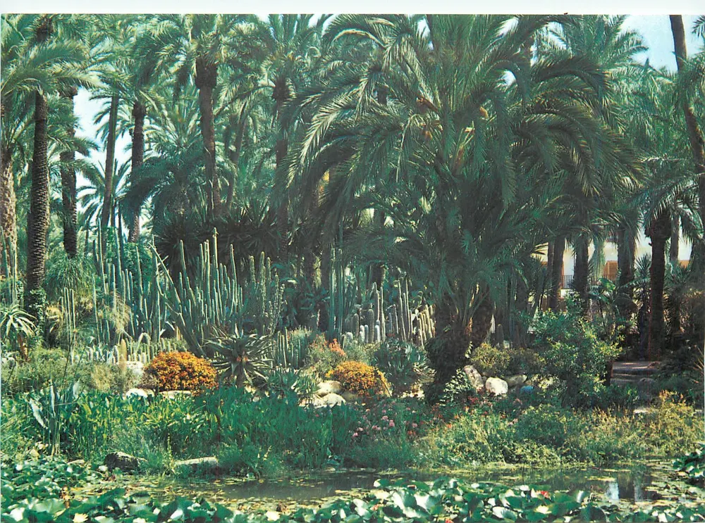 Jardim do Cura em Elche — Edições Arribas, série 103-ELCHE - Frente