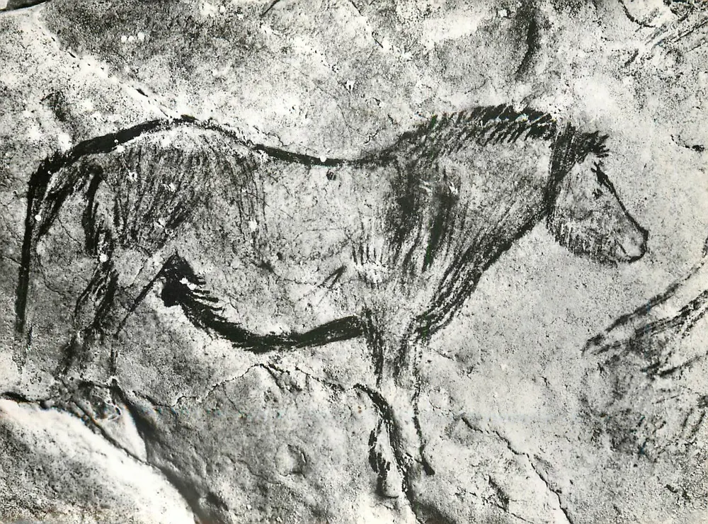Prähistorische Höhle von Niaux (Ariège) — Schwarzer Saal — Prähistorisches Pferd — Foto aus 'Prägeschichte der westlichen Kunst' — Verlag Mazenod Paris - Vorderseite