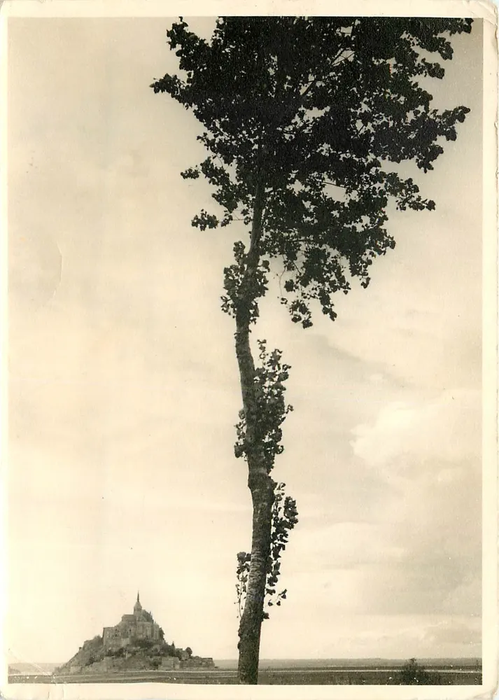Monte Santo Michel — vista com árvore em primeiro plano — edição Jacques Cholet, n° 8742 - Frente