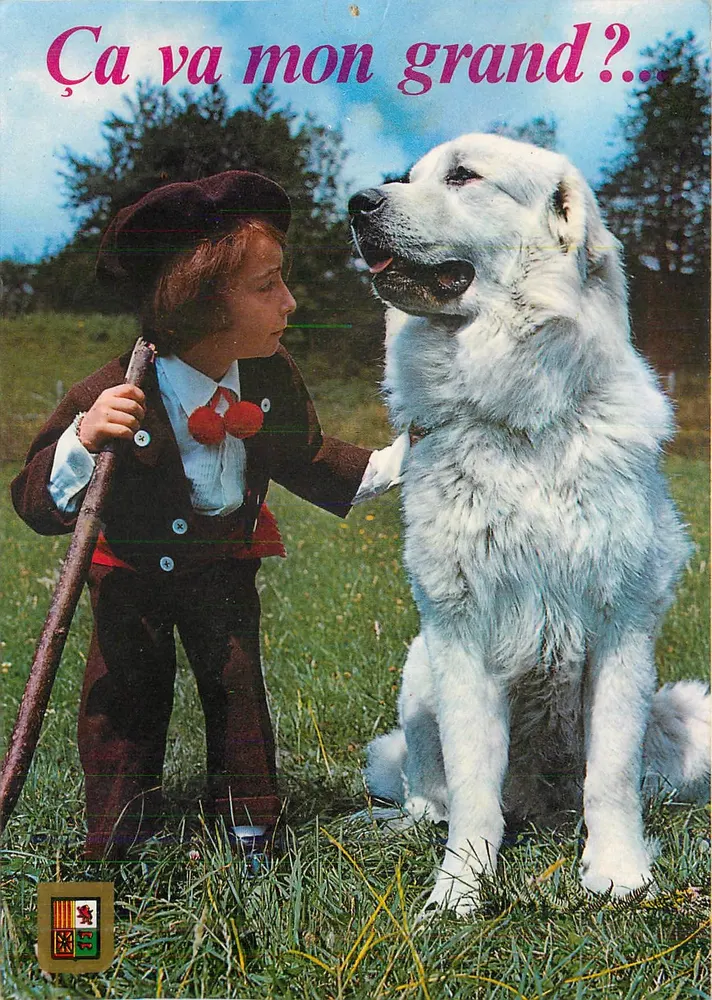 Kind und großer weißer Hund — Hautes Pyrénées — Verlag Edlux, Nr. 906 - Vorderseite