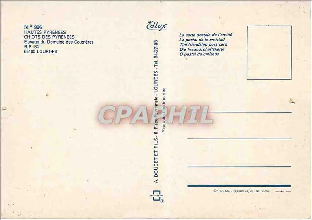 Kind und großer weißer Hund — Hautes Pyrénées — Verlag Edlux, Nr. 906 - Rückseite