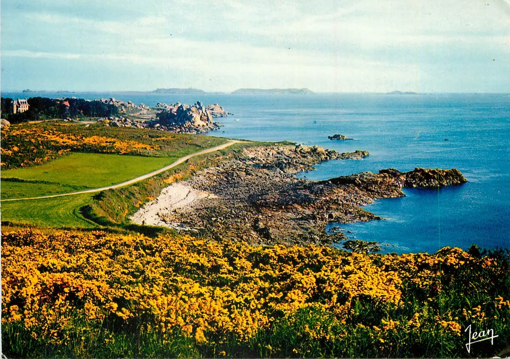 Costa Bretã — vista costeira com flores amarelas — Jean - Frente