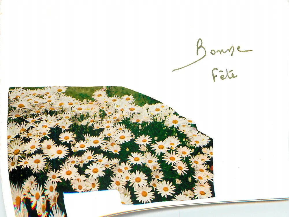 Champ de marguerites — illustration imprimée — éditeur inconnu, n° de série 01/10 - Recto