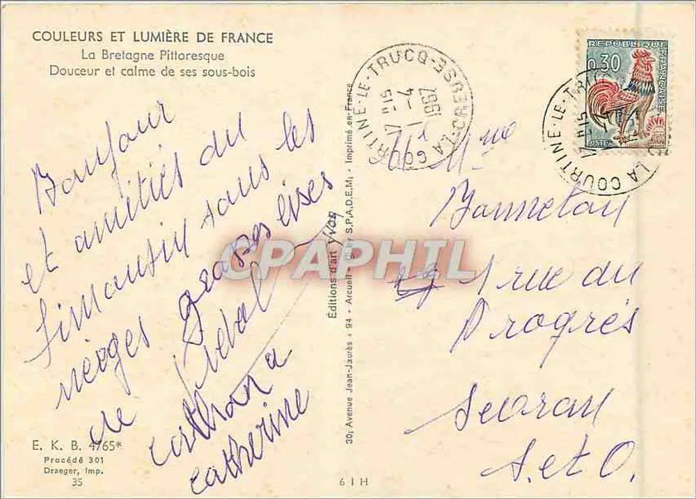 Waldlandschaft — Fluss und Kiefern — Editions Jean-Javés - Rückseite