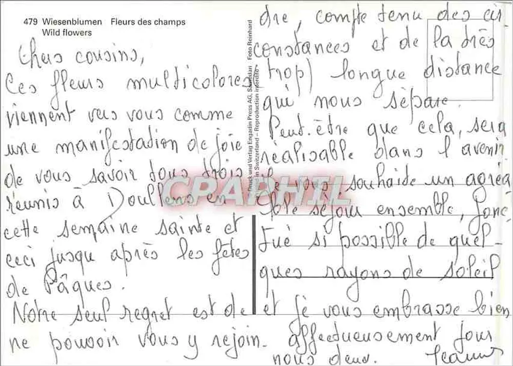 Flores dos campos — Wiesenblumen — editor: Herk und Verlag Englisch Press AG, Sankt Gallen, n° 479 - Verso