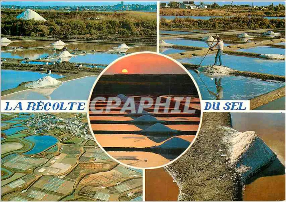 A colheita do sal — Marais Salants (França) — Éditions Miegeville Deleville, n°102 - Frente