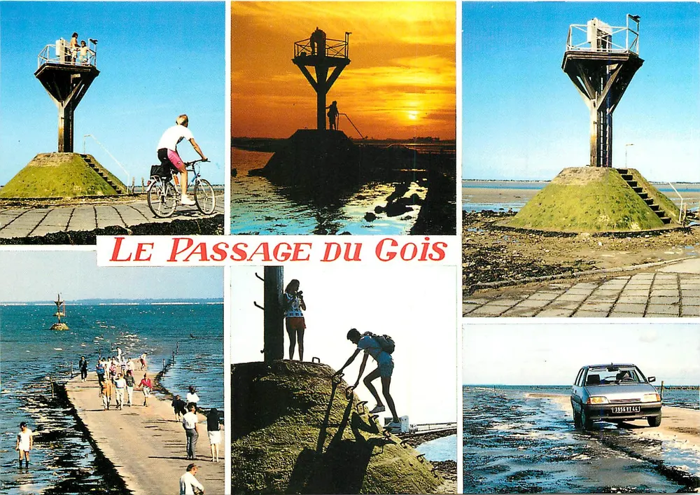 O Passage du Gois — Ilha de Noirmoutier (Vendée) — Edições Miegeville Delville, n°105 - Frente
