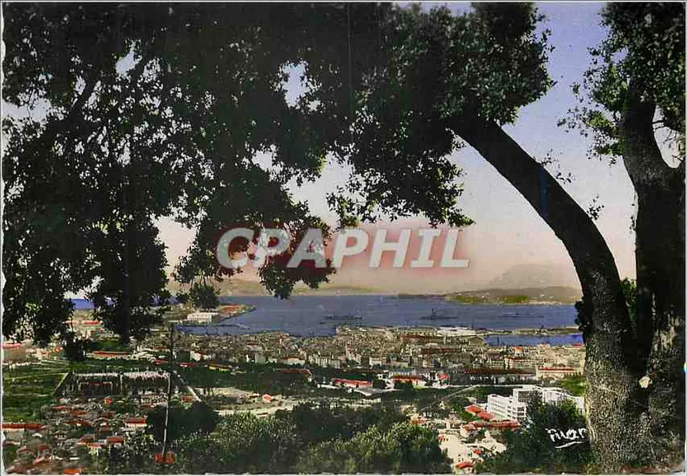 Toulon-sur-Mer (Var) — Algemene uitzicht — De uitgaven "MAR" aan Boulevard de Cimiez - Nice - Voorkant