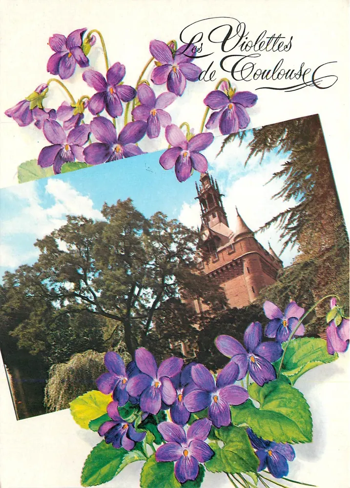 As Violetas de Toulouse — O Donjon do Capitólio (1750) — Edições LOUPHIL - Frente