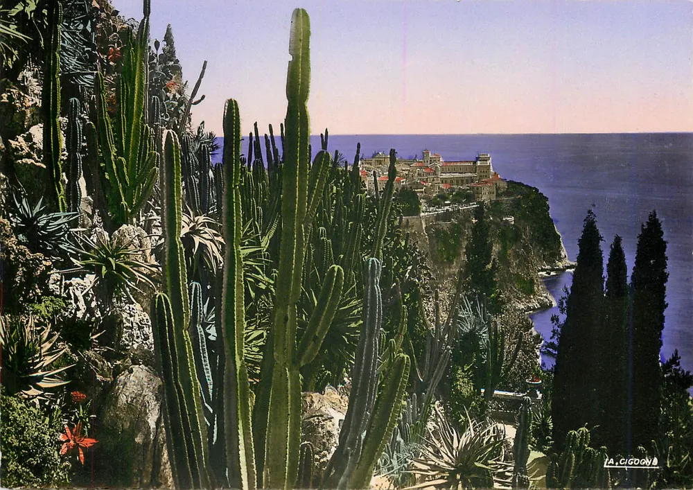 Monaco - Les Jardins Exotiques — Vue sur le Rocher de Monaco — Édition Le Cigogne - Recto