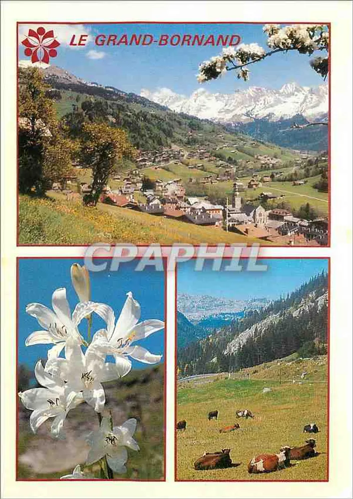 Le Grand-Bornand — vista geral e os Aravis — n° 74450 - Frente