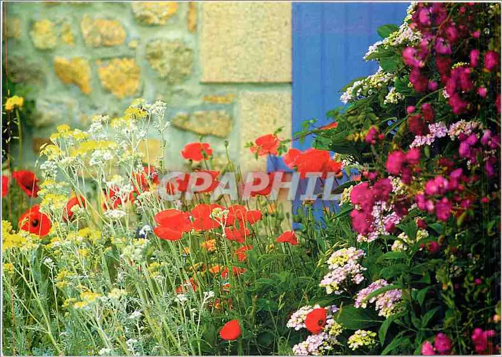 Jardim florido em frente a um muro de pedra e uma porta azul — Cores da Bretanha — Radio Bonheur - Frente