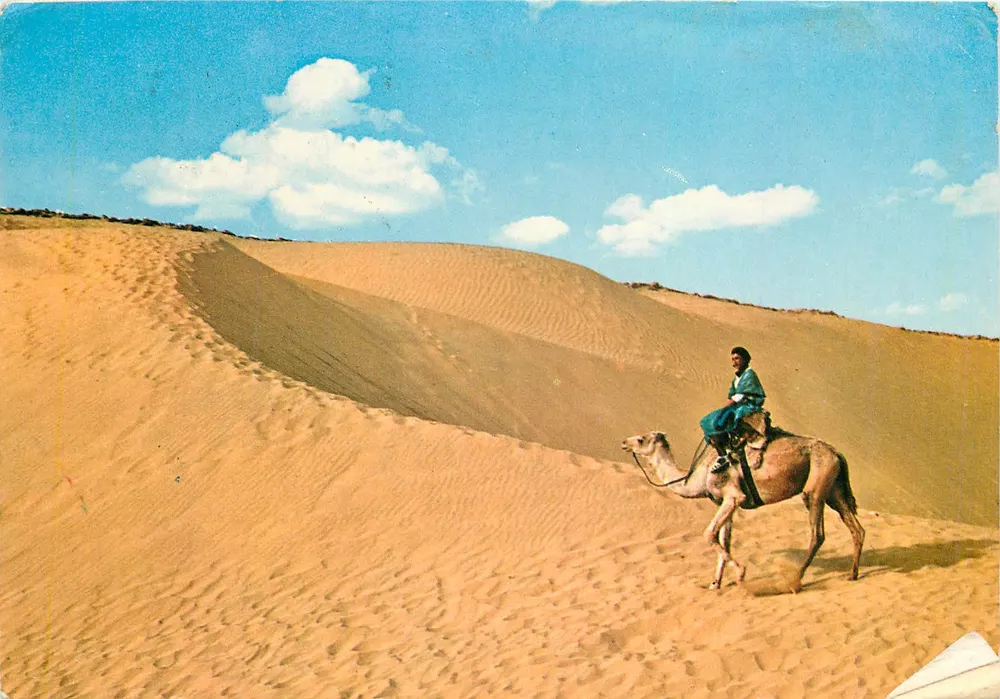 Deserto marroquino — cavaleiro em camelo — editor ITAHCOLOR - Frente