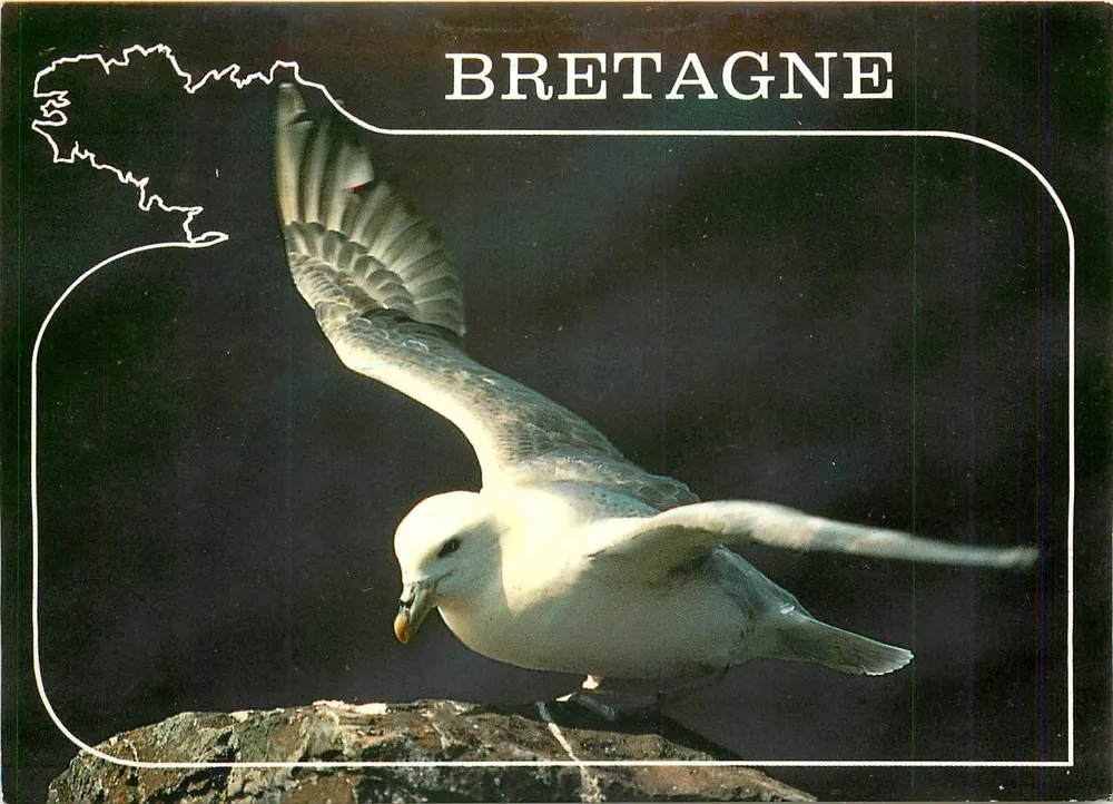 Bretanha — Fulmar — Edições de Arte 'Jack' n°218 - Frente