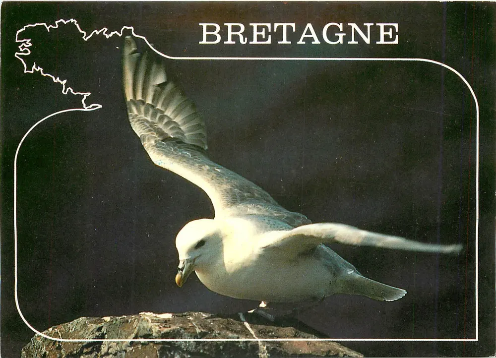 Bretanha — Fulmar — Edições de Arte 'Jack' n°218 - Frente