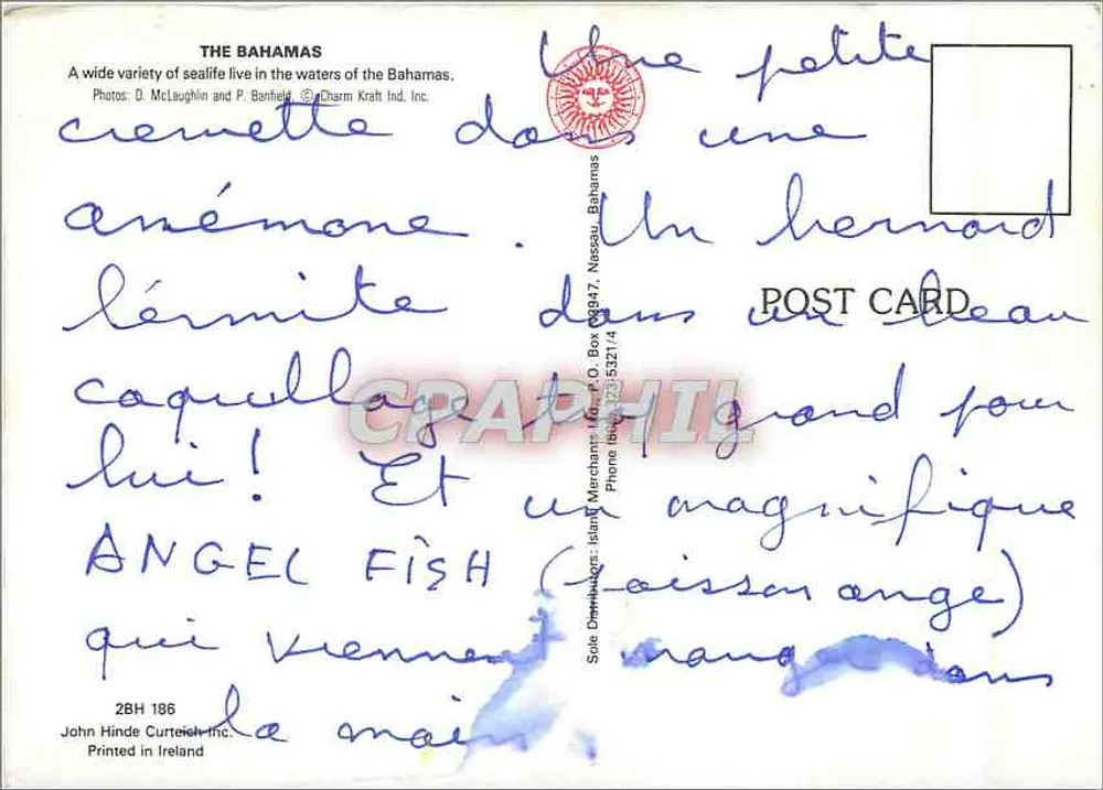महासागरीय जीवन... बहामास में — जॉन हिंड कर्टीच इंक 2BH 186 - पीछे