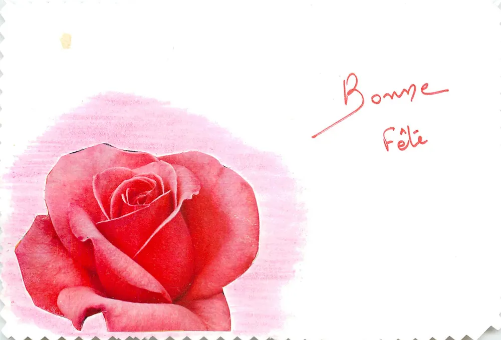 Rose rouge — illustration à l'aquarelle — sans éditeur visible - Recto
