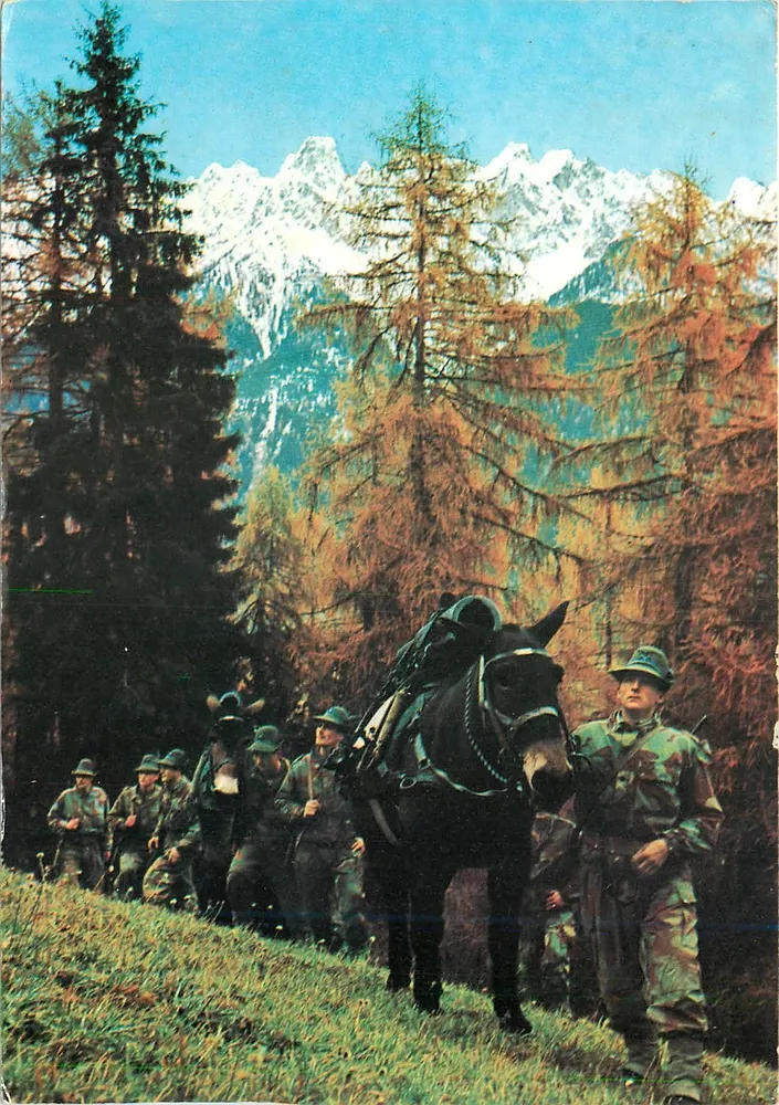 Soldaten auf dem Marsch mit Maultier — Reparto di salmeria in marcia — Verlag SALMEC, Nr. S/631 - Vorderseite
