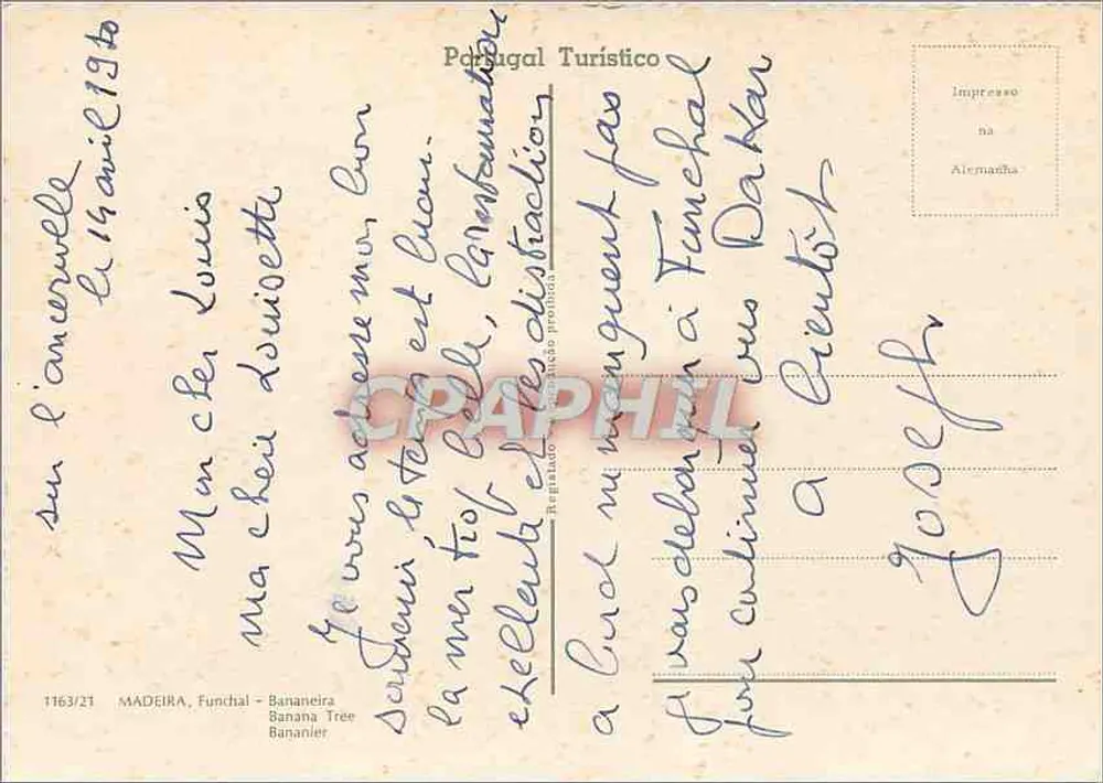 Bananeira - Funchal — Madeira — editor Portugal Turístico, n° 1163/21 - Verso